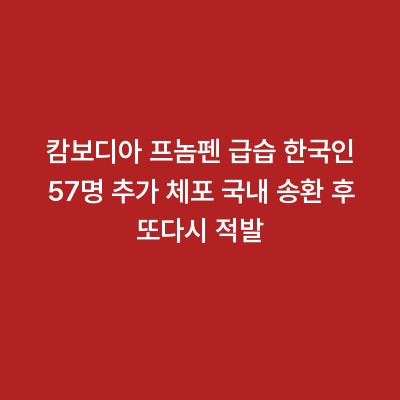 캄보디아 프놈펜 급습 한국인 57명 추가 체포 국내 송환 후 또다시 적발