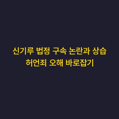 신기루 법정 구속 논란과 상습 허언죄 오해 바로잡기