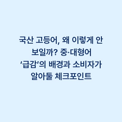 국산 고등어, 왜 이렇게 안 보일까? 중·대형어 ‘급감’의 배경과 소비자가 알아둘 체크포인트
