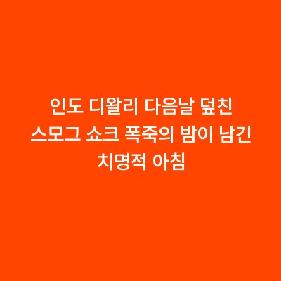 인도 디왈리 다음날 덮친 스모그 쇼크 폭죽의 밤이 남긴 치명적 아침