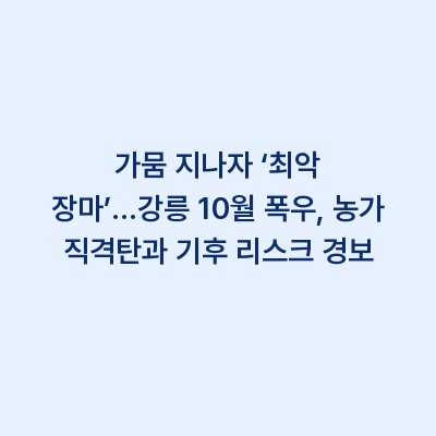 가뭄 지나자 ‘최악 장마’…강릉 10월 폭우, 농가 직격탄과 기후 리스크 경보