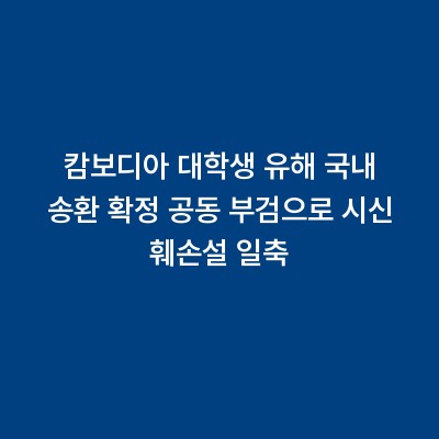 캄보디아 대학생 유해 국내 송환 확정 공동 부검으로 시신 훼손설 일축