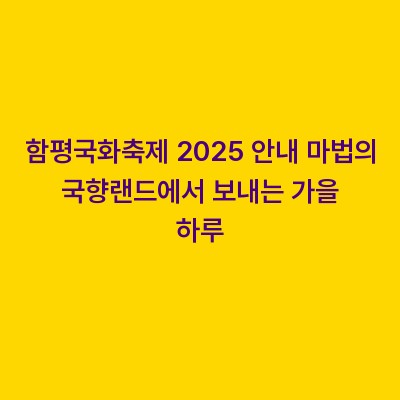 함평국화축제 2025 안내 마법의 국향랜드에서 보내는 가을 하루