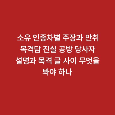 소유 인종차별 주장과 만취 목격담 진실 공방 당사자 설명과 목격 글 사이 무엇을 봐야 하나