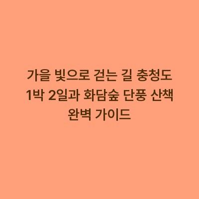 가을 빛으로 걷는 길 충청도 1박 2일과 화담숲 단풍 산책 완벽 가이드
