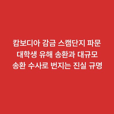 캄보디아 감금 스캠단지 파문 대학생 유해 송환과 대규모 송환 수사로 번지는 진실 규명