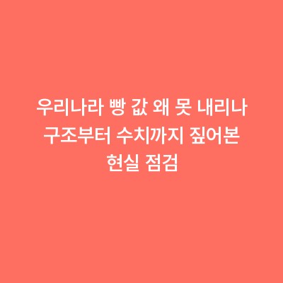 우리나라 빵 값 왜 못 내리나 구조부터 수치까지 짚어본 현실 점검