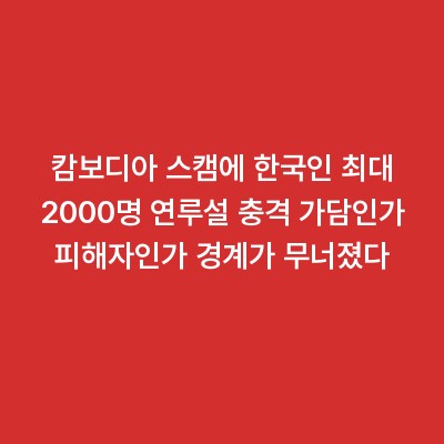 캄보디아 스캠에 한국인 최대 2000명 연루설 충격 가담인가 피해자인가 경계가 무너졌다