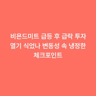 비욘드미트 급등 후 급락 투자 열기 식었나 변동성 속 냉정한 체크포인트