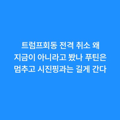 트럼프회동 전격 취소 왜 지금이 아니라고 봤나 푸틴은 멈추고 시진핑과는 길게 간다