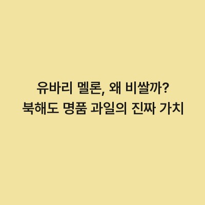 유바리 멜론, 왜 비쌀까? 북해도 명품 과일의 진짜 가치