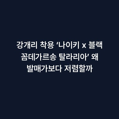 강개리 착용 ‘나이키 x 블랙 꼼데가르송 탈라리아’ 왜 발매가보다 저렴할까