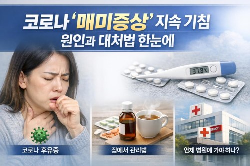 코로나 '매미증상' 지속 기침, 원인과 대처법 한눈에 — 마른기침·목 간질거림 오래가면 이렇게 확인하세요